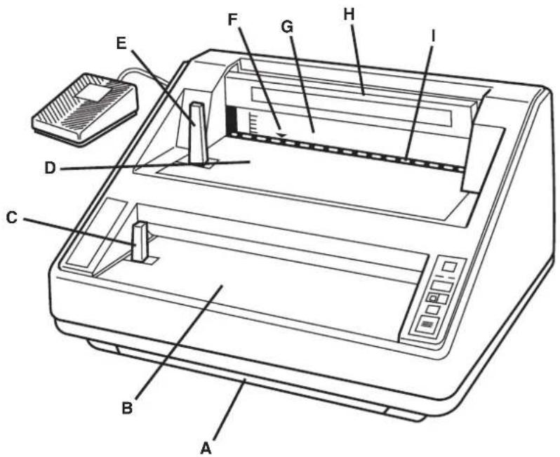 Technical diagram of a printer with labeled parts including paper, printer, and paper holder