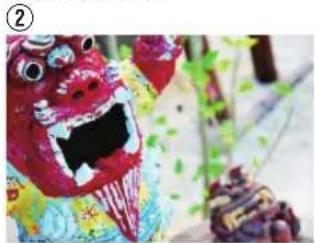 Colorful painted dragon head with exaggerated facial features, no visible text or symbols