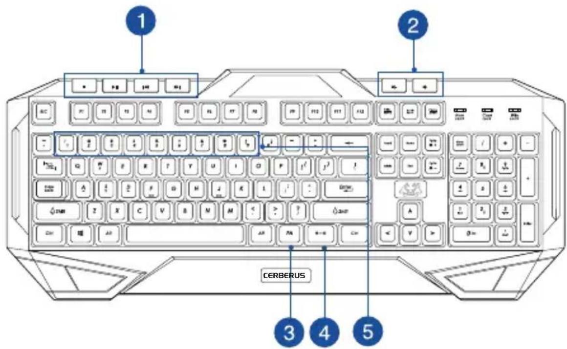 1 2 3 4 5 CERBERUS