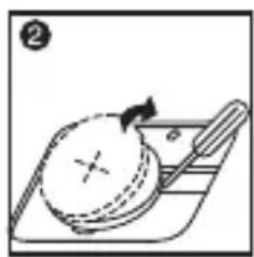 Simple line drawing of a fruit on a tray with a pen, no text or symbols present