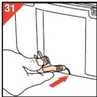 31