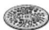 BOSCH MUM53 - Grating disc – coarse - 1