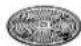 BOSCH MUM54Q40 - Riveskive - middels fin - 1