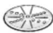 BOSCH MUM58253 - Vändbar riv- och strimmelskiva – grov / fin - 1