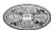 BOSCH MUM58253 - Reibscheibe – mittelfein - 1