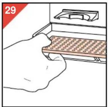 Illustration of a hand pressing down on a tray with a handle, no text or symbols present