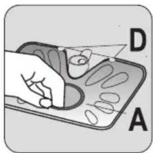 D A