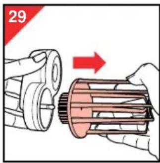 29