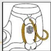 PHILIPS HR7724 - Important: - 36