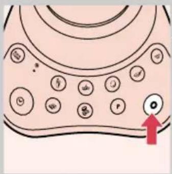 Diagram of a biological cell or vesicle with labeled organelles and a red arrow pointing to a specific cell.