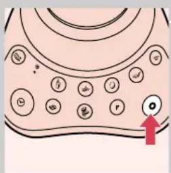 Diagram of a biological cell or vesicle structure with labeled organelles and a red arrow pointing to a specific cell (no text or symbols present)