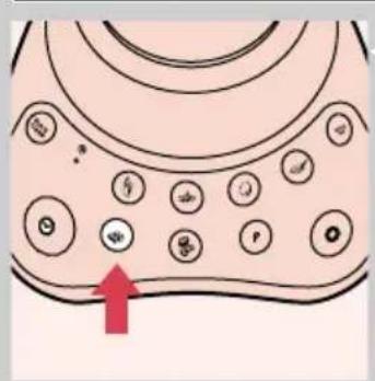 Diagram of a biological or cellular structure with circular elements and a red arrow pointing to a specific region (no text or symbols present)