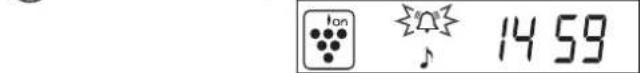 Ion 14 59