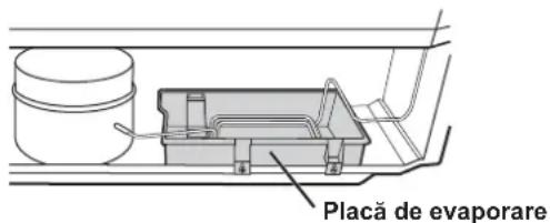 Placă de evaporare
