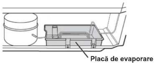 Placă de evaporare