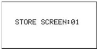 STORE SCREEN:01