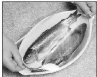 PANASONIC NN-Q653 - PEIXE - 2