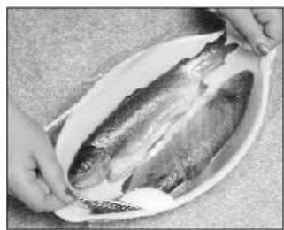 PANASONIC NN-Q653 - Pescado - 2
