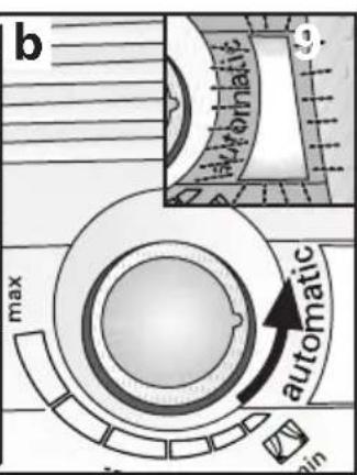 b automatic max automatic