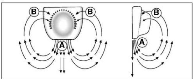 graph TD A["Central Object"] --> B1["Point A"] A --> B2["Point B"] A --> B3["Point B"] A --> B4["Point A"] A --> B5["Point B"] style A fill:#f9f,stroke:#333 style B fill:#ccf,stroke:#333 style B2 fill:#cfc,stroke:#333 style B3 fill:#fcc,stroke:#333 style B4 fill:#cff,stroke:#333 style B5 fill:#ffc,s…