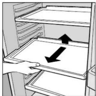 Illustration of a hand placing a tray into a refrigerator with arrows indicating direction (no text or symbols).