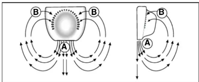 graph TD A["Central Object"] --> B1["Point A"] A --> B2["Point B"] A --> B3["Point B"] A --> B4["Point B"] A --> B5["Point B"] A --> B6["Point B"] A --> B7["Point B"] A --> B8["Point B"] A --> B9["Point B"] A --> B10["Point B"] A --> B11["Point B"] A --> B12["Point B"] A --> B13["Point B"] A --> B14…