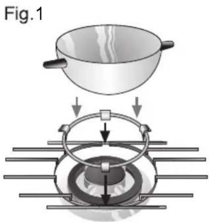 Fig. 1