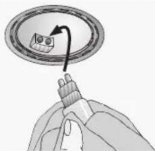 BOSCH DWB065450 - Substituição das lâmpadas - 2