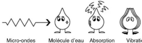 Micro-ondes Molécule d'eau Absorption Vibratios