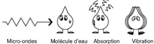 Micro-ondes Molécule d'eau Absorption Vibration