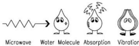 Microwave Water Molecule Absorption Vibration