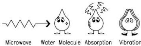 Microwave Water Molecule Absorption Vibration