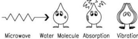Microwave Water Molecule Absorption Vibration