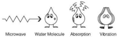 Microwave Water Molecule Absorption Vibration