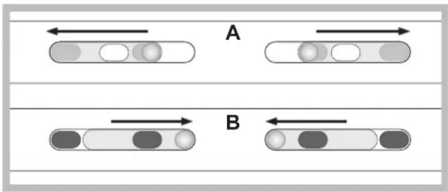 A B