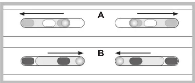A B