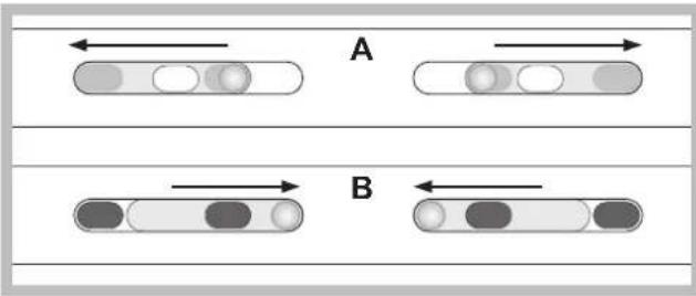 A B