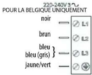 220-240V 3 POUR LA BELGIQUE UNIQUEMENT noir — [∅ L1] brun — [∅ L2] bleu } — [∅ L3] bleu (gris) — jaune/vert — [∅ ⊕]