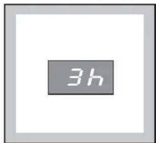 3h