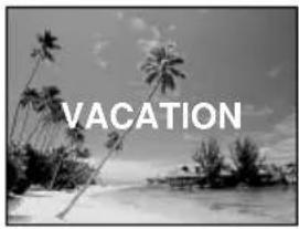 VACATION