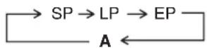 PANASONIC NV-FJ630 - Programming a Timer Recording of a TV Programme Until its End (Tape Speed Auto Change Function) - 2