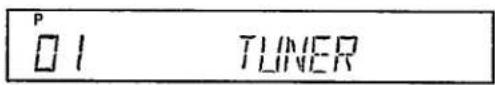P I TUNER