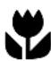 ELECTROLUX EHS6640 - Verpakkingsmateriaal - 1