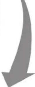 BOSCH MFQ3555 - Looking for help? You'll find it here. - 6