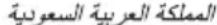 BOSCH MFQ3555 - SA Kingdom Saudi Arabia, - 1