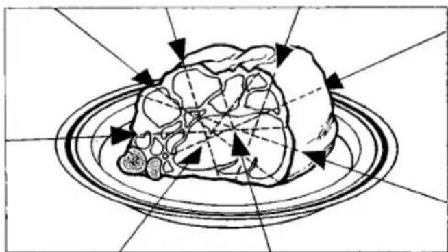 Schéma d'une structure biologique avec des flèches directionnelles indiquant un mouvement ou une force (sans texte ni étiquettes)