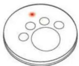 Simple diagram of a circular object with five smaller circles and one red dot on top (no text or symbols)