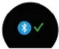 MYKRONOZ ZeCircle 2 - 4.디스플레이 - 4