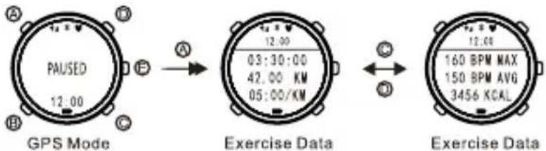 PAUSED 12:00 GPS Mode Exercise Data 12:00 03:30:00 42.00 KM 05:00/KM Exercise Data 160 BPM MAX 150 BPM AVG 3456 KCAL