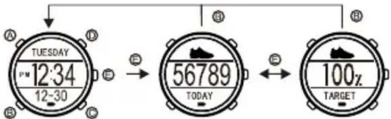 SBS Beat GPS - VISUALIZACIÓN DE DATOS PODÓMETRO - 1